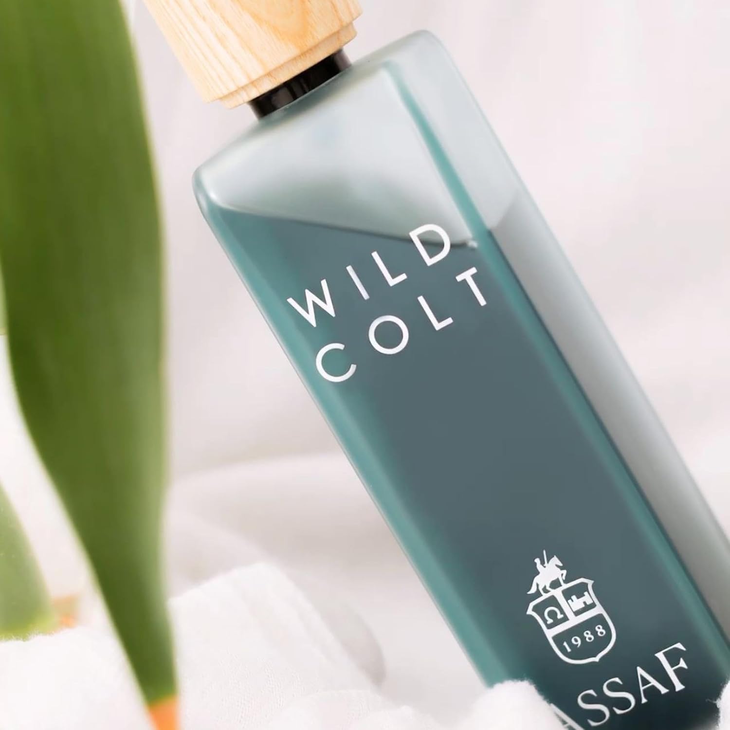 Wild Colt Assaf – وايلد كولت أستاف
